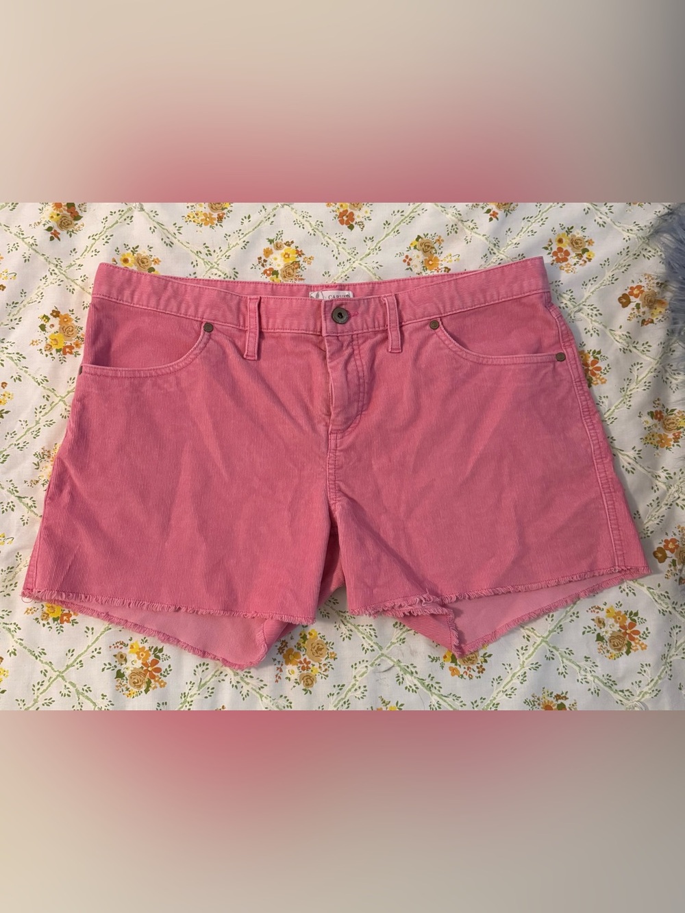 Carve Designs Pink Corduroy Shorts